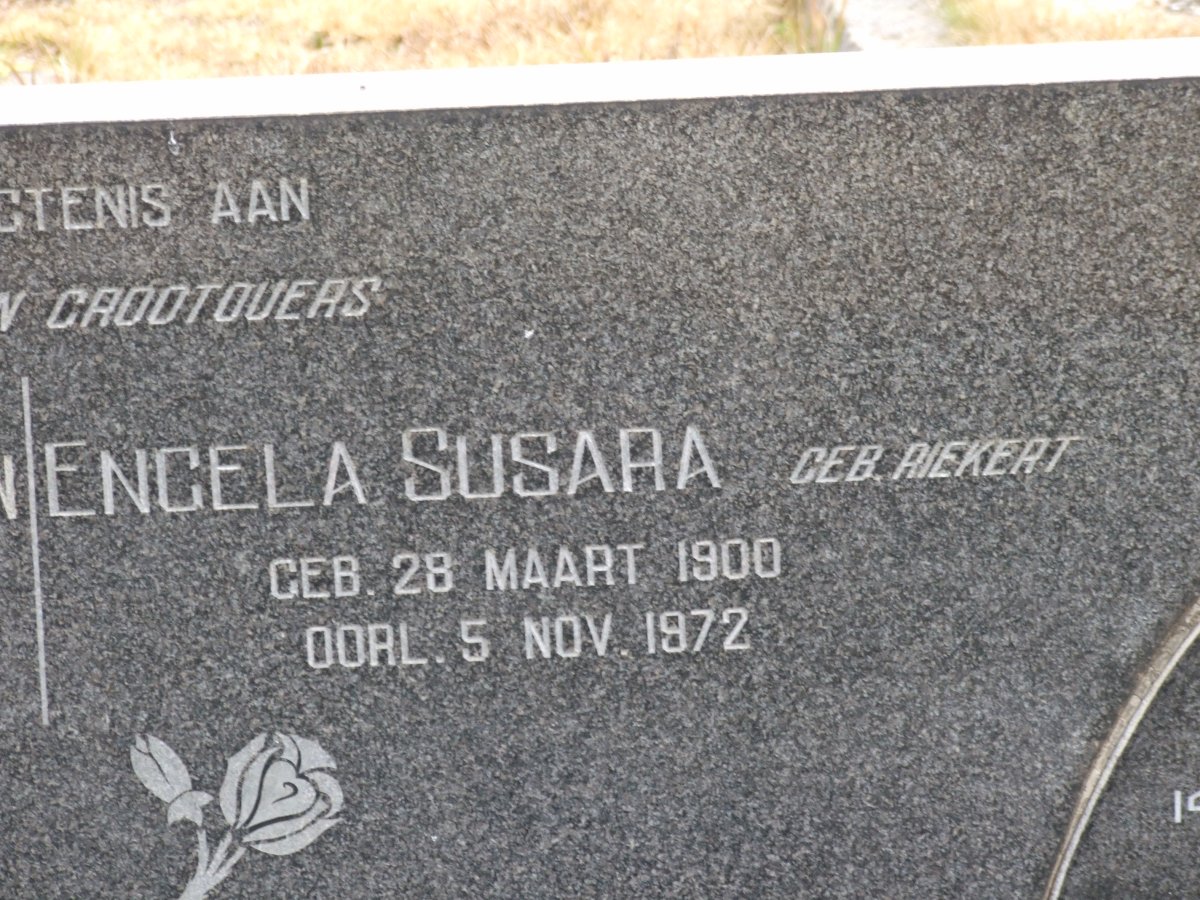 GROVÉ Engela Susara nee RIEKERT 1900-1972
