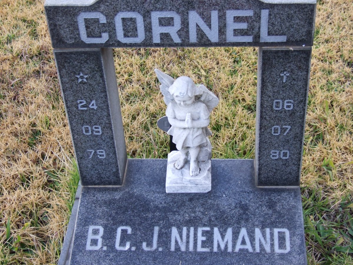 NIEMAND B.C.J. 1979-1980