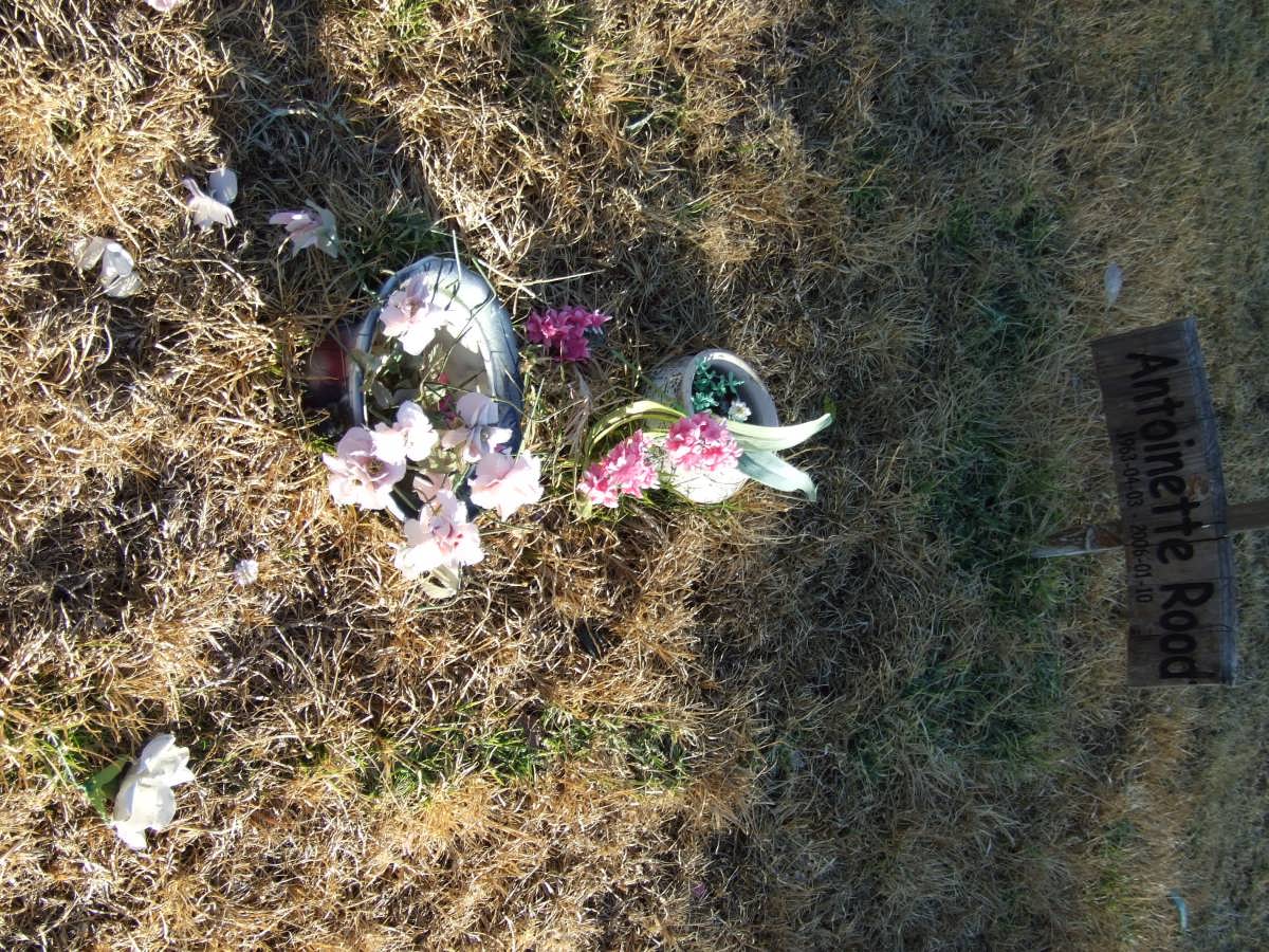 ROOD Antoinette 1963-2006