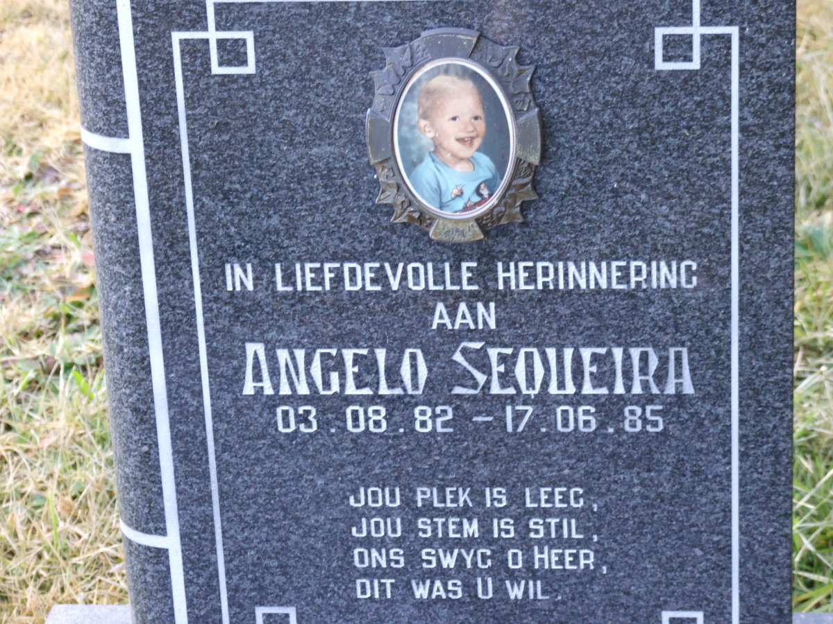 SEQUEIRA Angelo 1982-1985