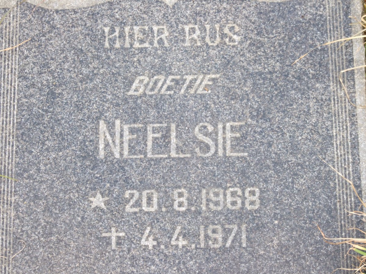 SCHALKWYK Dirk P.J., van 1931-1971 &amp; Hester J. v.d. WALT 1935-1971 :: van SCHALKWYK Neelsie 1968-1971