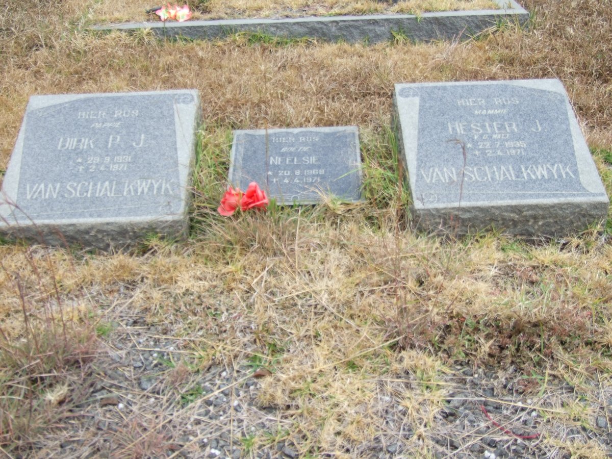 SCHALKWYK Dirk P.J., van 1931-1971 &amp; Hester J. v.d. WALT 1935-1971 :: van SCHALKWYK Neelsie 1968-1971