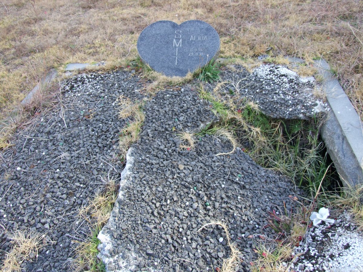 SMIT Alida 1925-1974