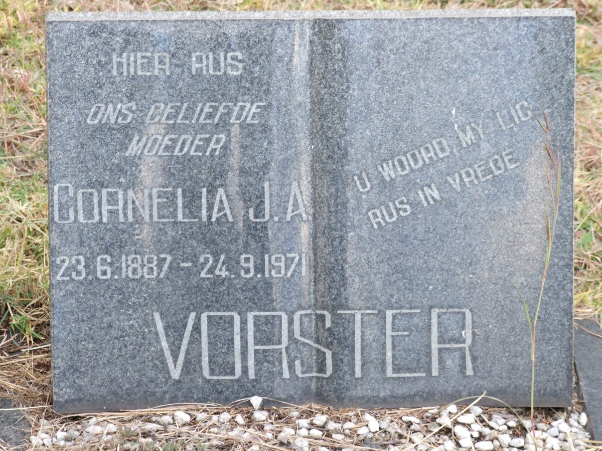 VORSTER Cornelia J.A. 1887-1971