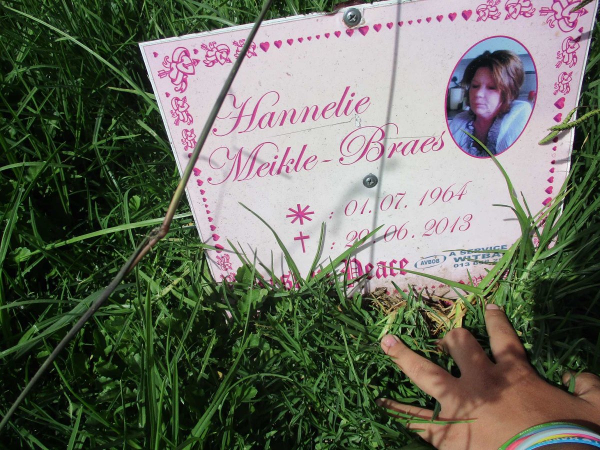 BRAES Hannelie, MEIKLE 1964-2013