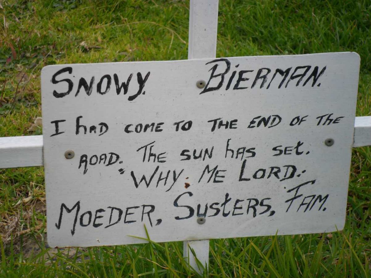 BIERMAN Snowy