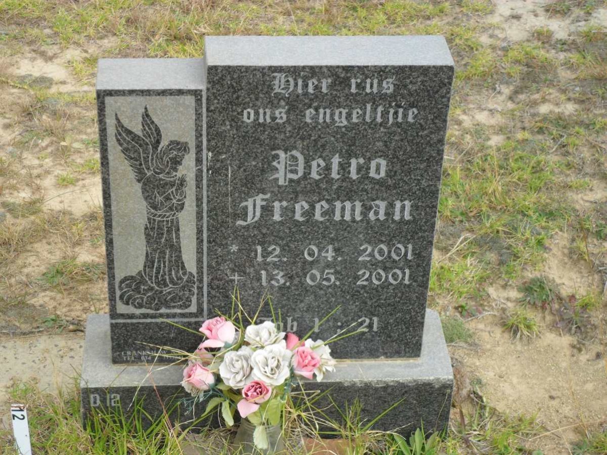 FREEMAN Petro 2001-2001