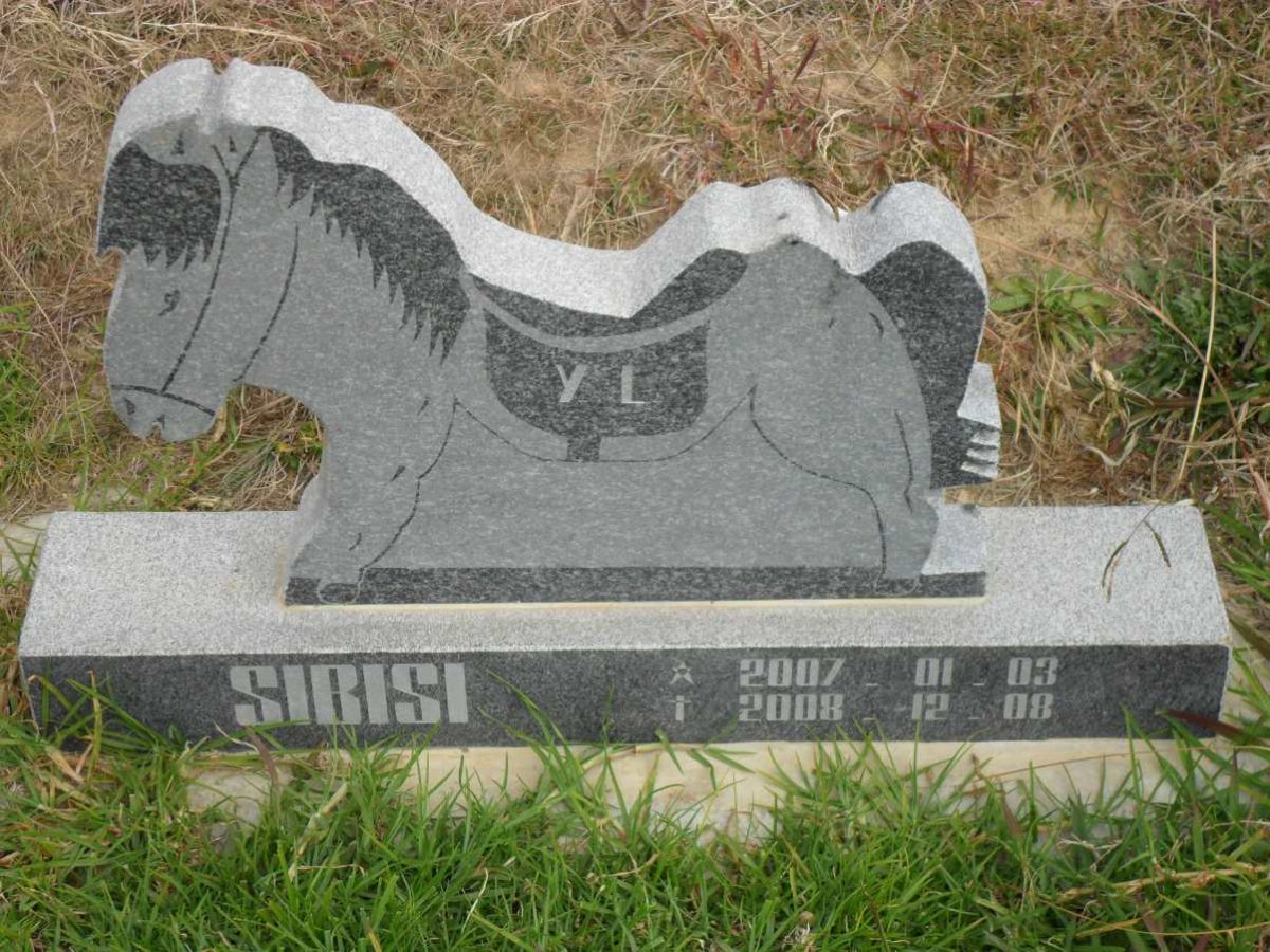 SIBISI Y.L.  2007-2008