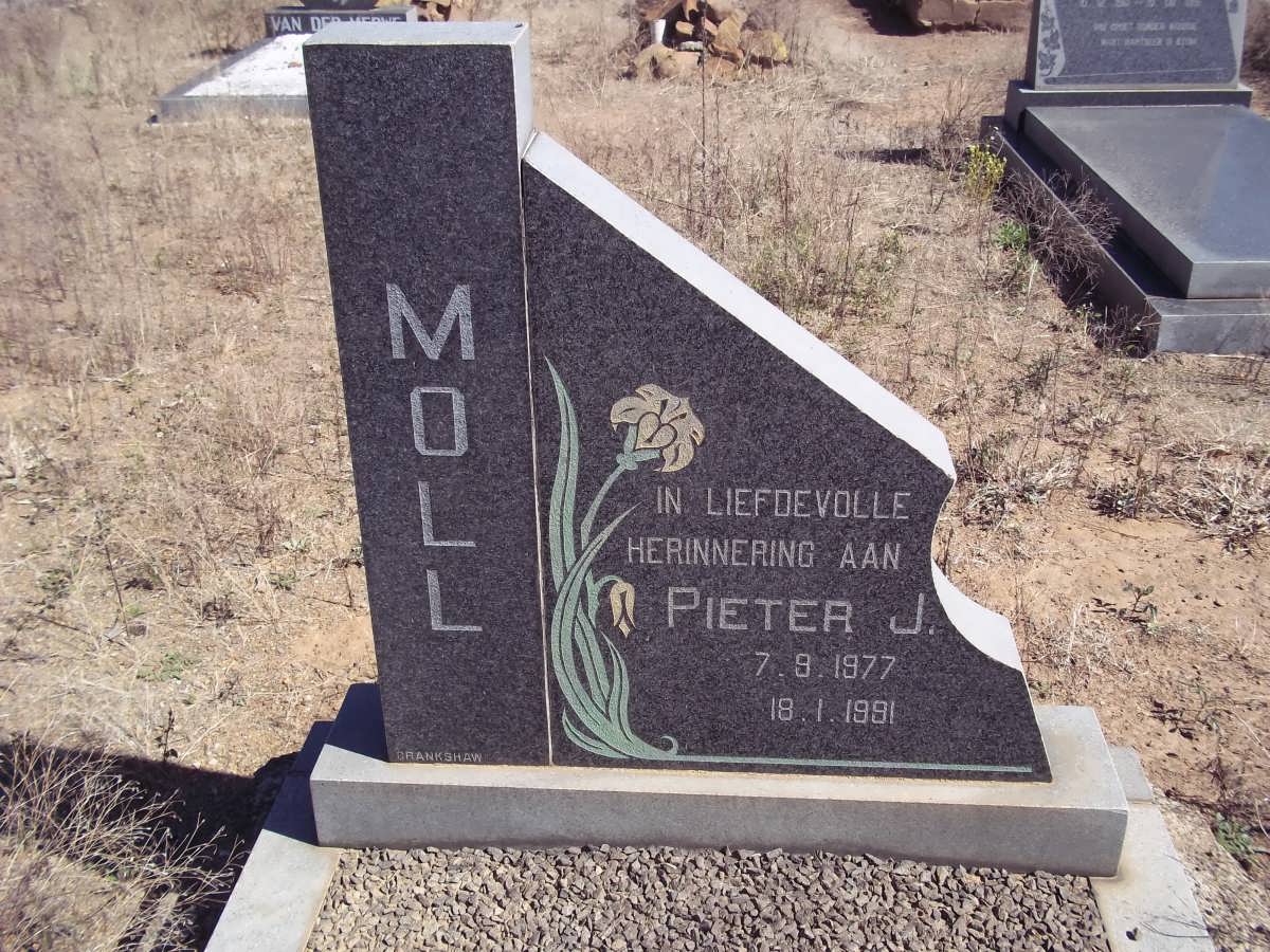 MOLL Pieter J. 1977-1991
