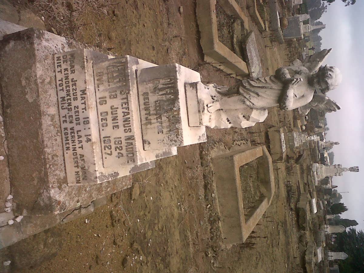 NAUDE Pieter Stefanus 1924-1927