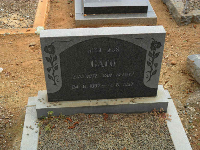 RHEEDER Gato 1897-1987