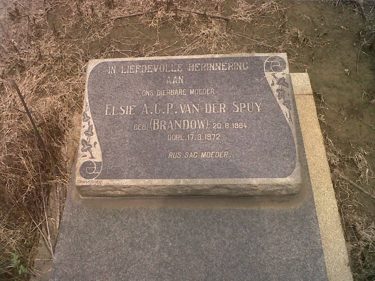 SPUY Elsie A.G.P., van der nee BRANDOW 1884-1972