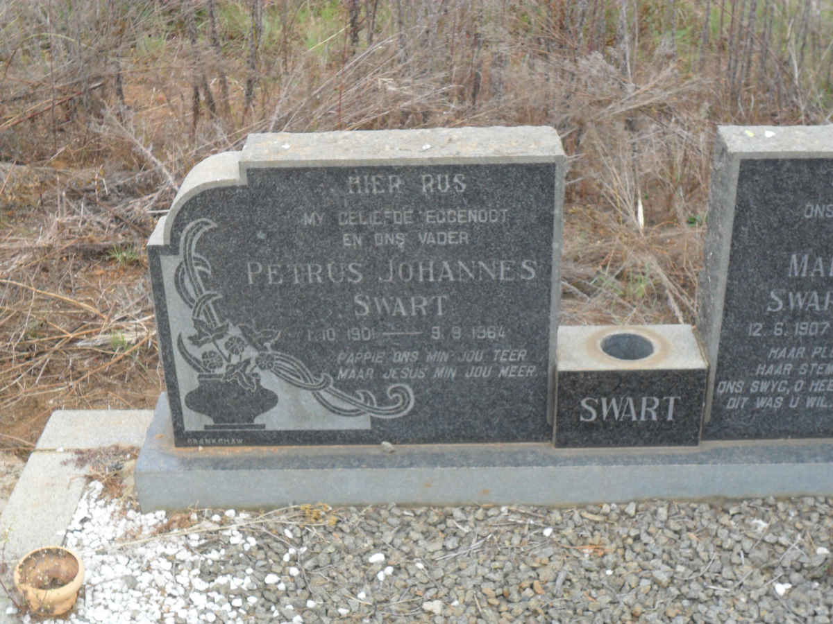 SWART Petrus Johannes 1901-1964