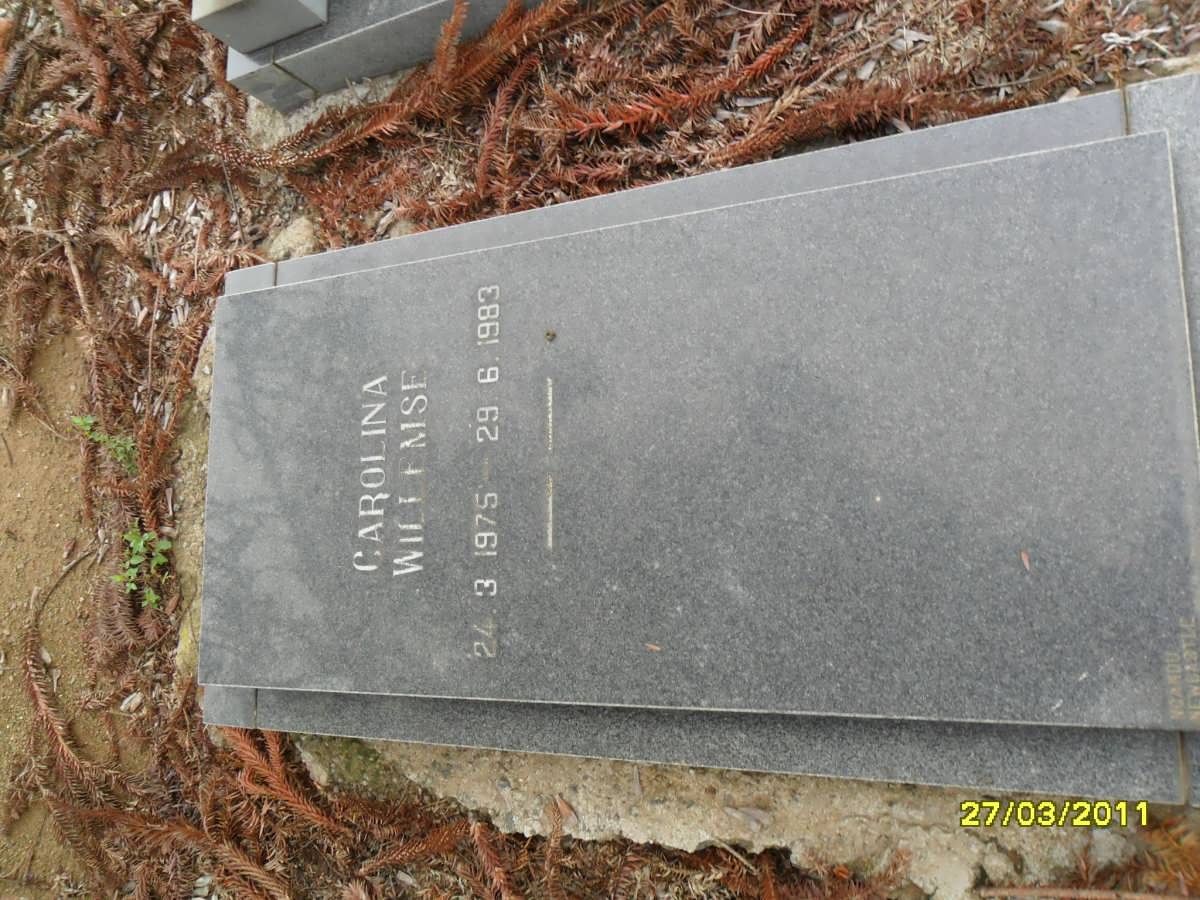 WILLEMSE Carolina 1975-1983