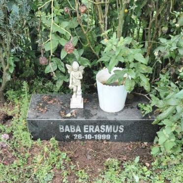 Mpumalanga, VOLKSRUST district, Perdekop, Botterfontein 101, farm cemetery