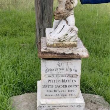 Mpumalanga, VOLKSRUST district, Perdekop, Roodewal 102, farm cemetery_1