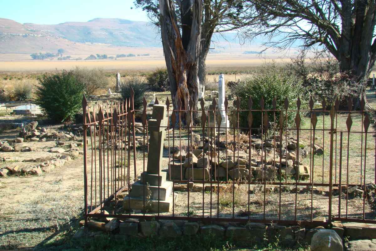 3. Overview