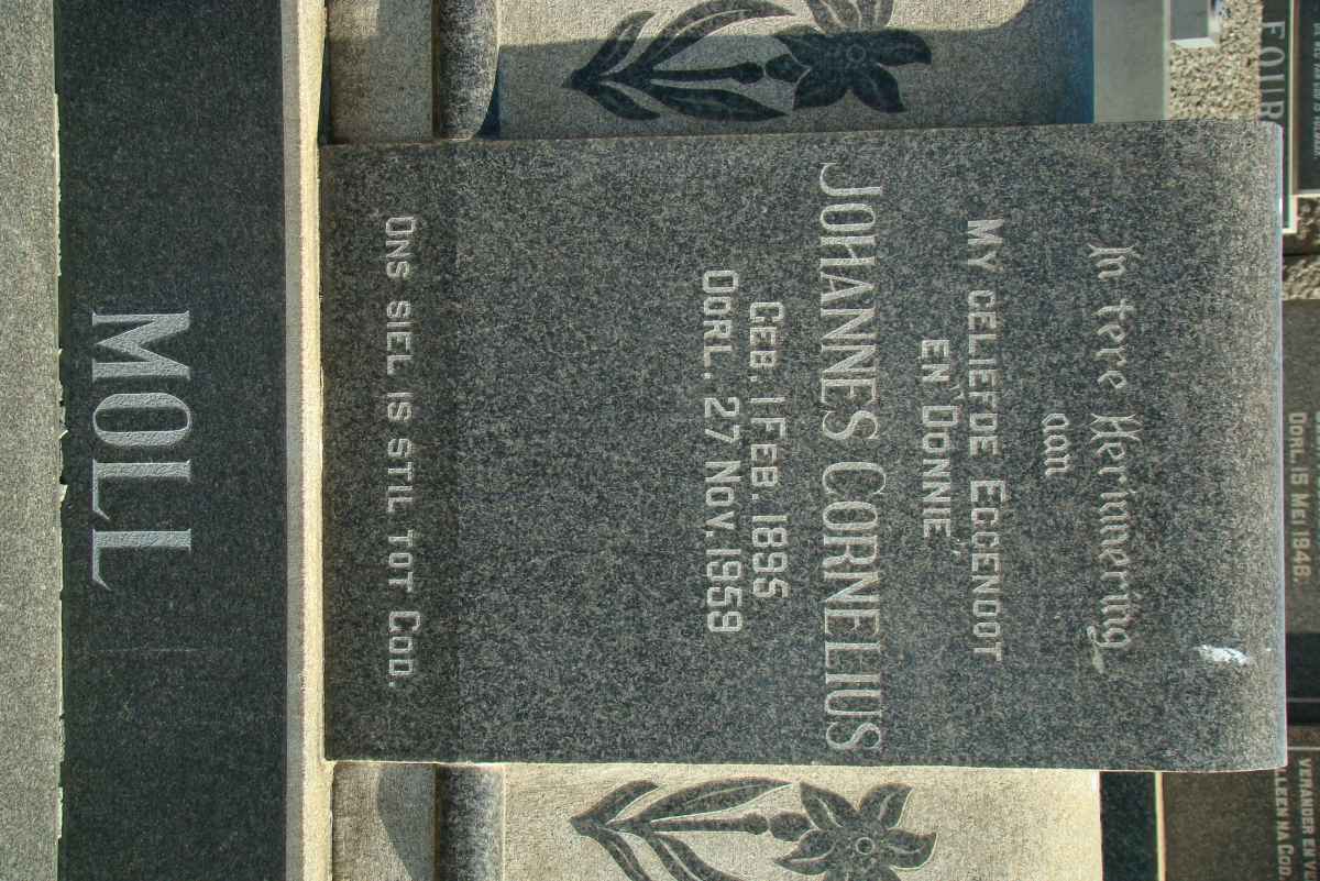 MOLL Johannes Cornelius 1895-1959