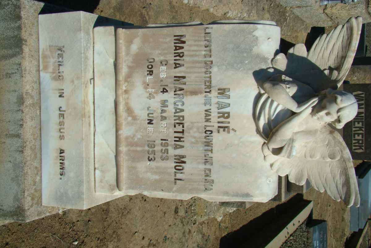MOLL Maria Margaretha 1953-1953