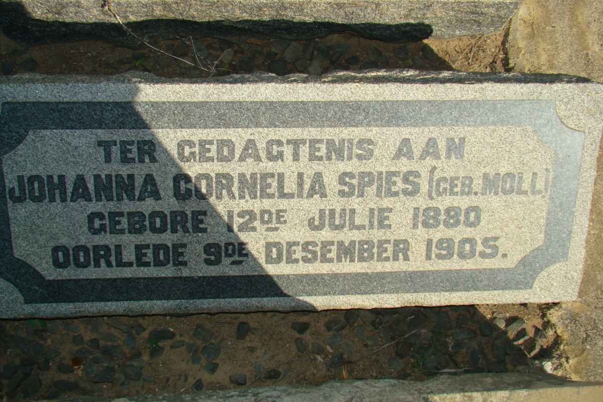 SPIES Johanna Cornelia nee MOLL 1880-1905