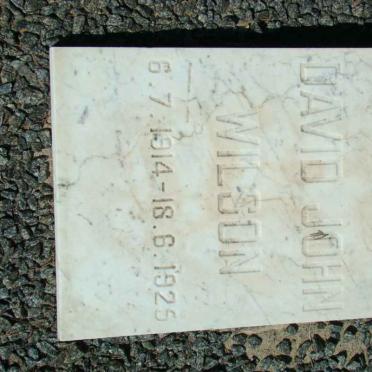 WILSON David John 1914-1925