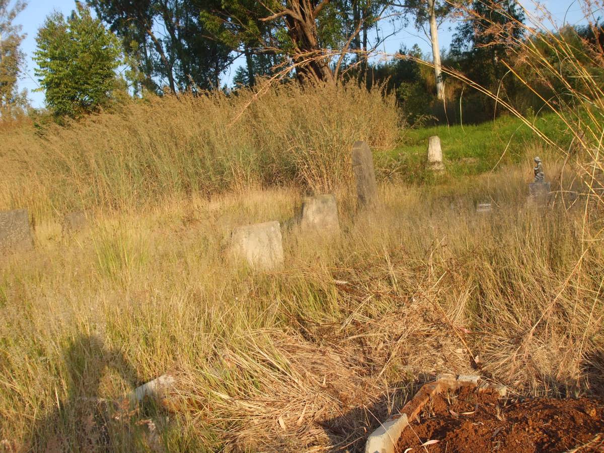 4. Overview