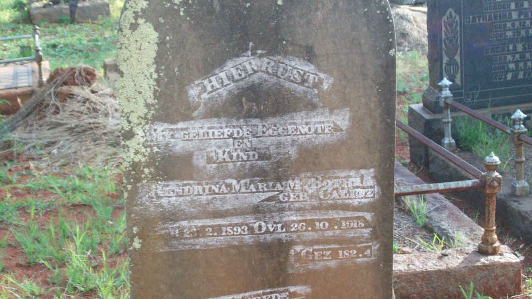 BOTHA Hendrina Maria M. nee CALITZ 1893-1918