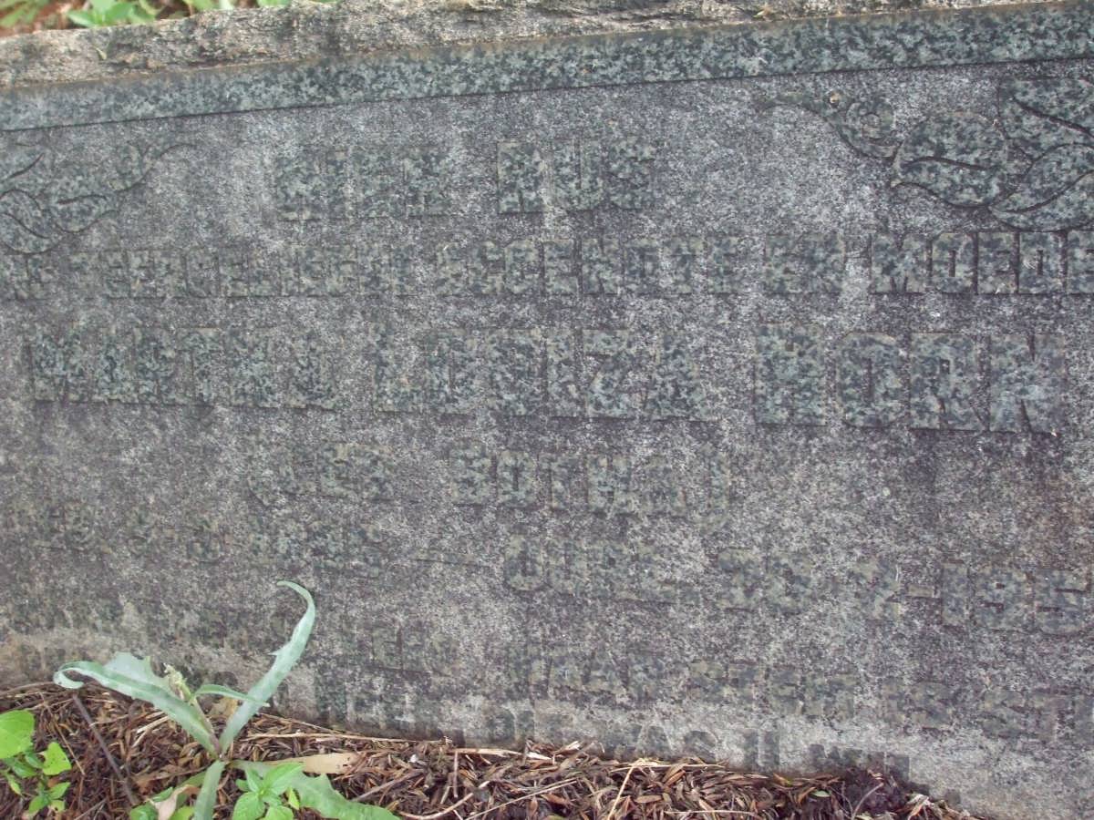HORN Martha Louiza nee BOTHA -195?