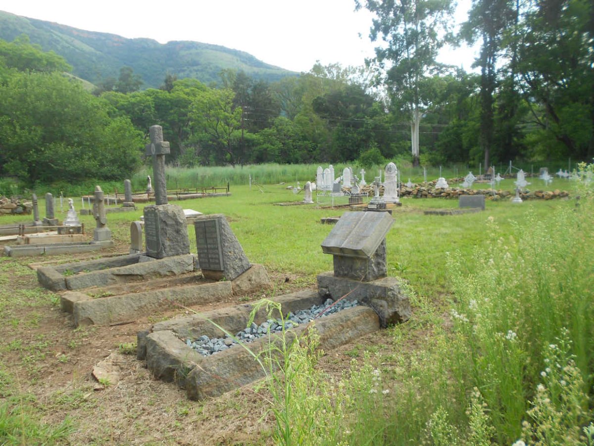6. Open Section