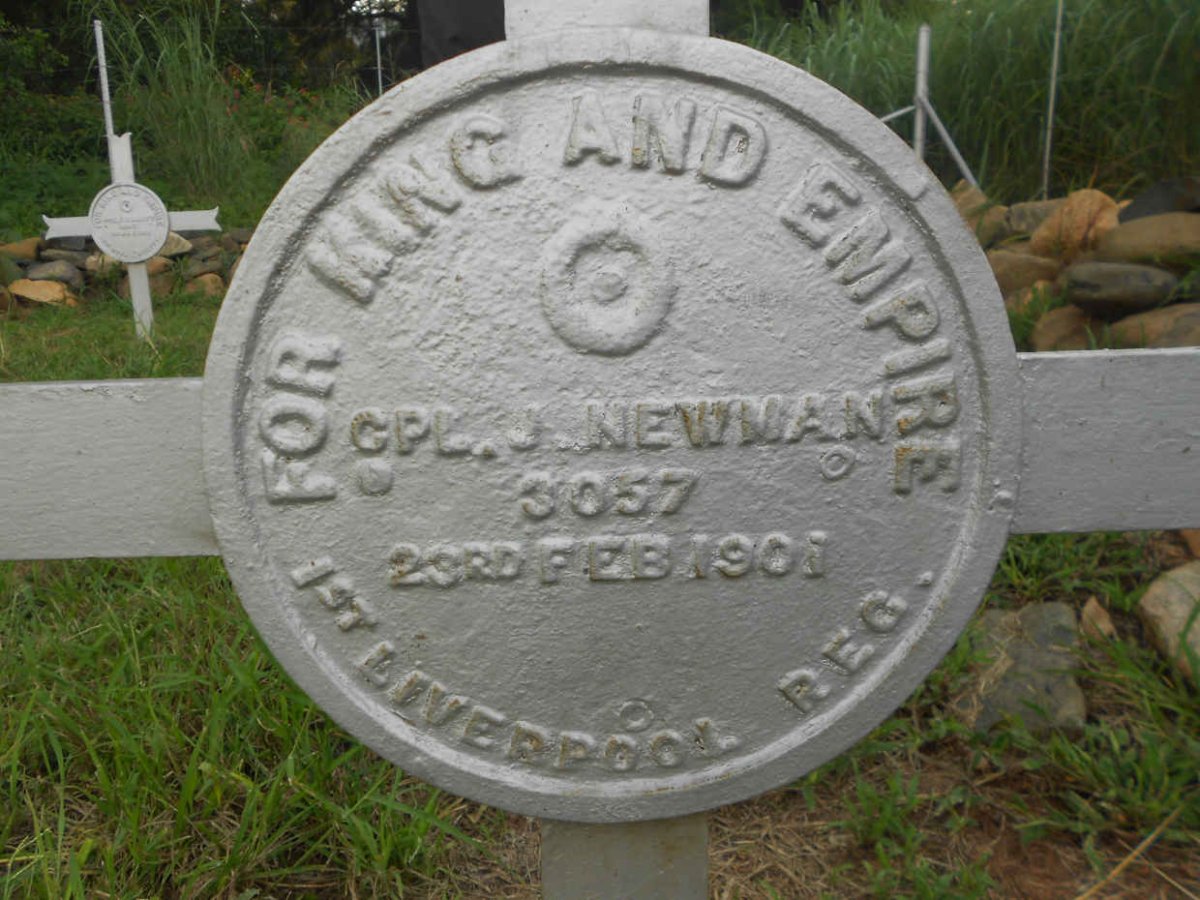 NEWMAN J. -1901