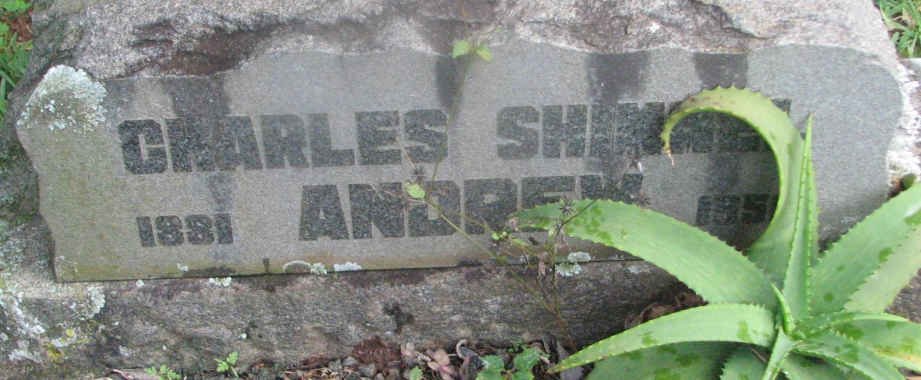 ANDREW Charles Shimmel 1881-1956