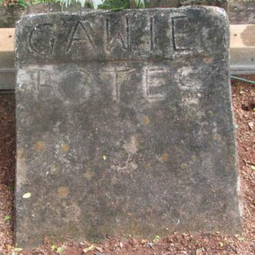BOTES Gawie