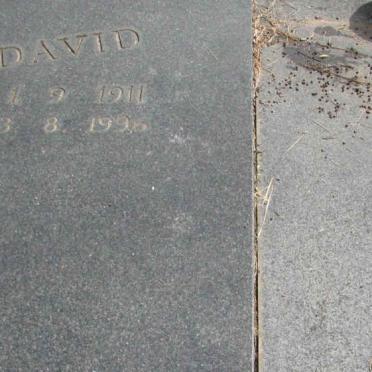 BOTHA David 1911-1996