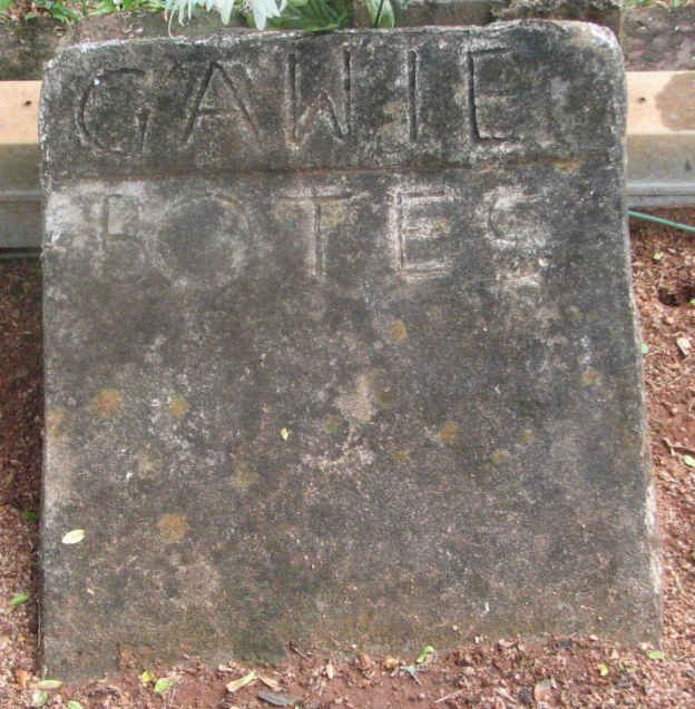 BOTES Gawie