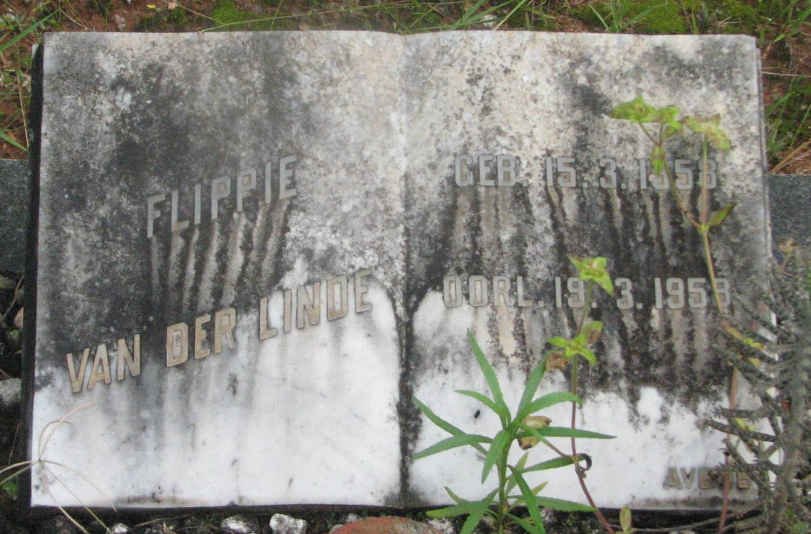 LINDE Flippie, van der 1958-1958
