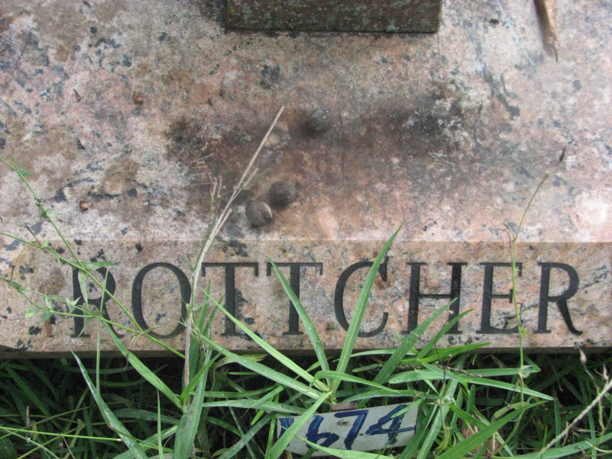 ROTTCHER