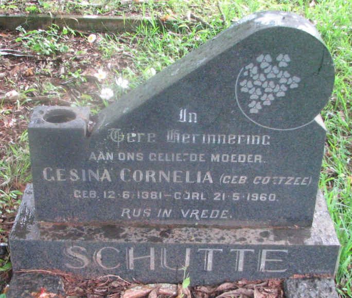 SCHUTTE Gesina Cornelia nee COETZEE 1881-1960
