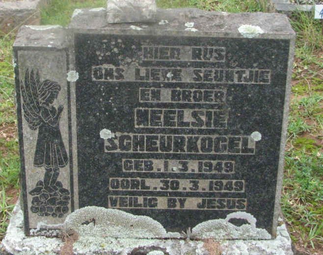 SCHEURKOGEL Neelsie 1949-1949