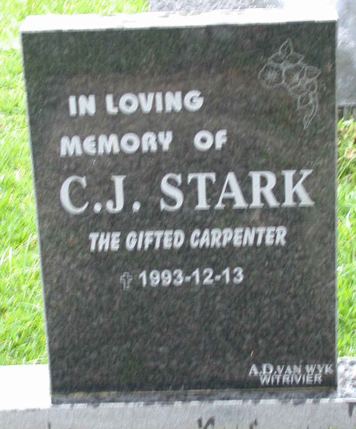 STARK C.J. -1993