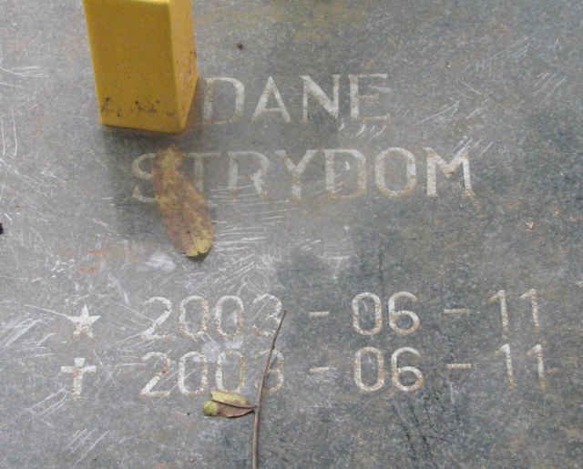 STRYDOM Dane 2003-2003