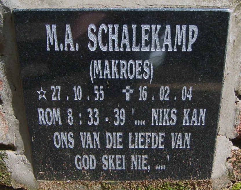 SCHALEKAMP M.A. 1955-2004