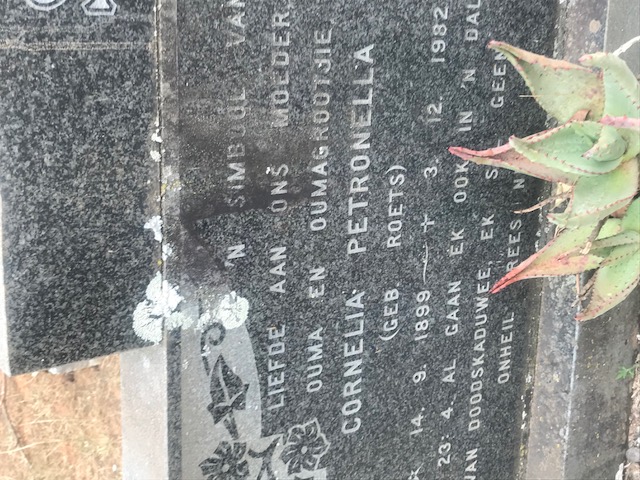 STEYN Cornelia Petronella nee ROETS 1899-1982