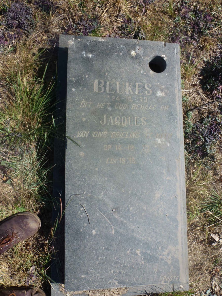 BEUKES Jacques 1973-1975