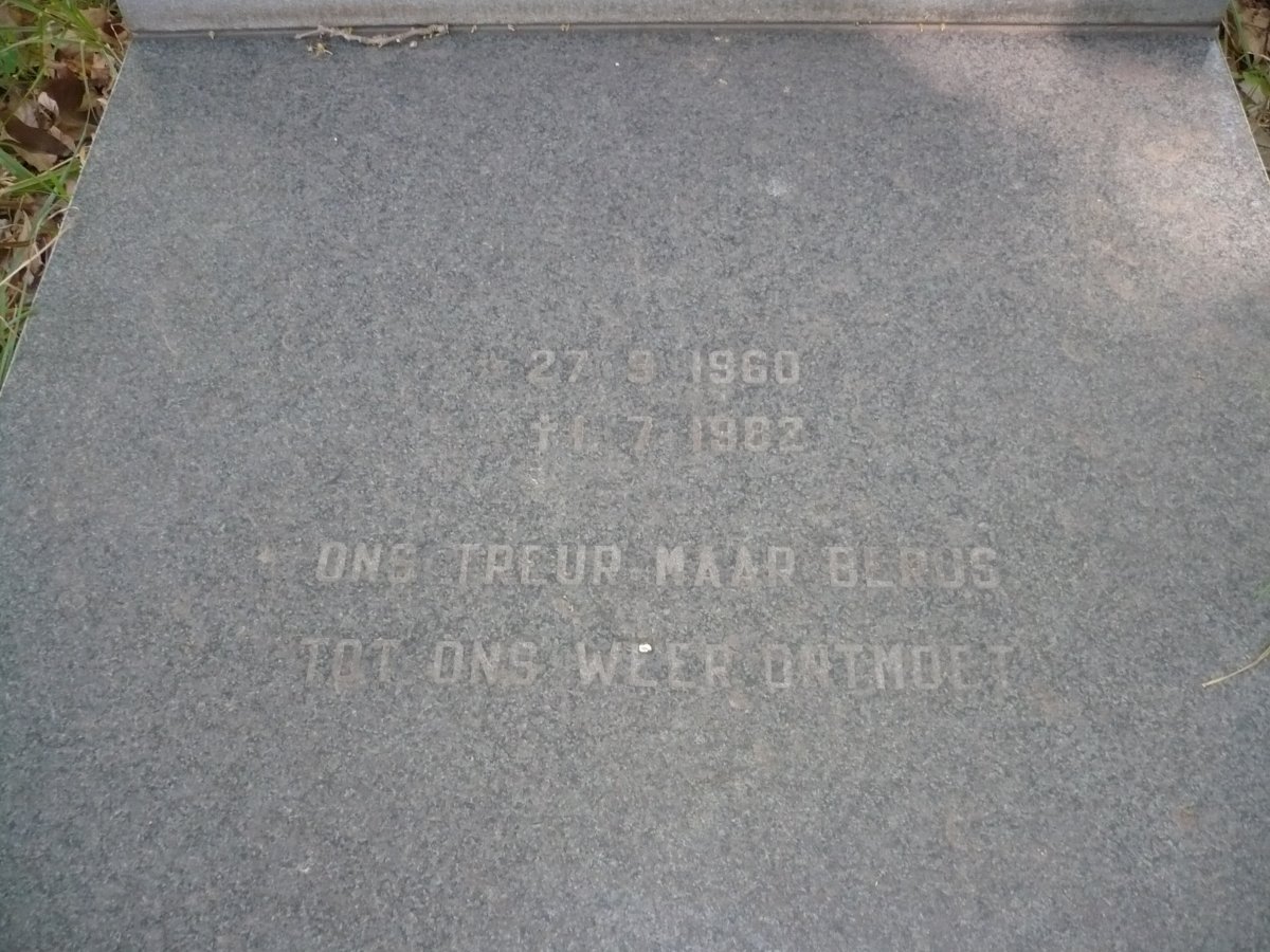 LUUS Rozan nee VAN ZWEEL 1960-1982