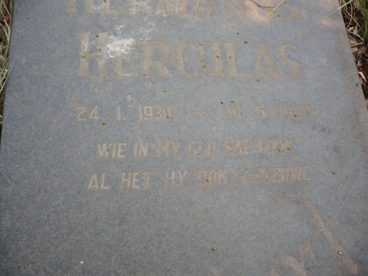 MOSTERT Hermanus Herculas 1930-1980