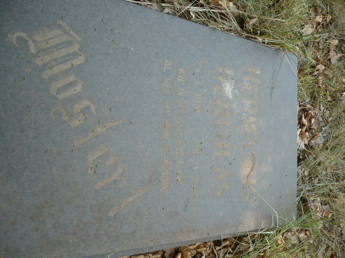 MOSTERT Hermanus Herculas 1930-1980