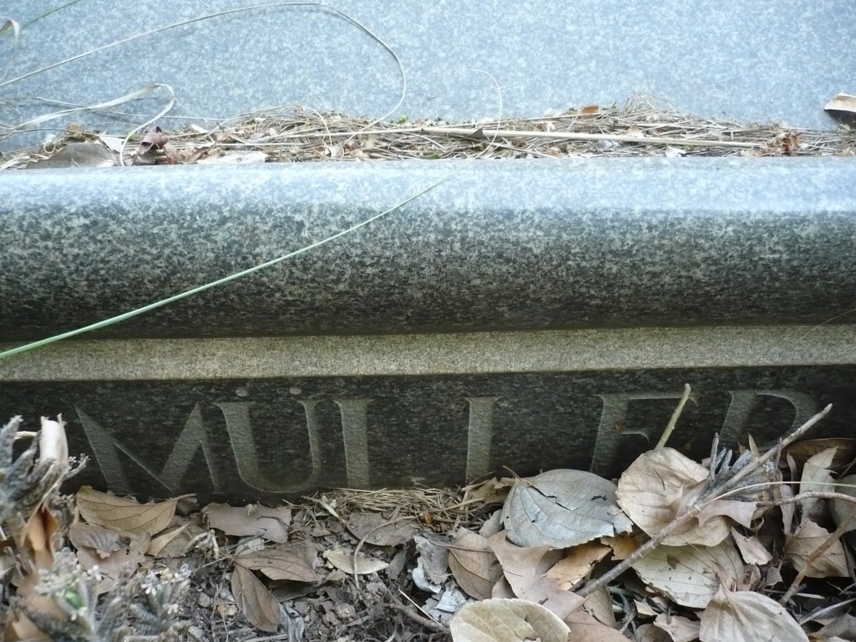 MüLLER Elizabeth Jacoba nee V.D. HEEVER 1885-1958