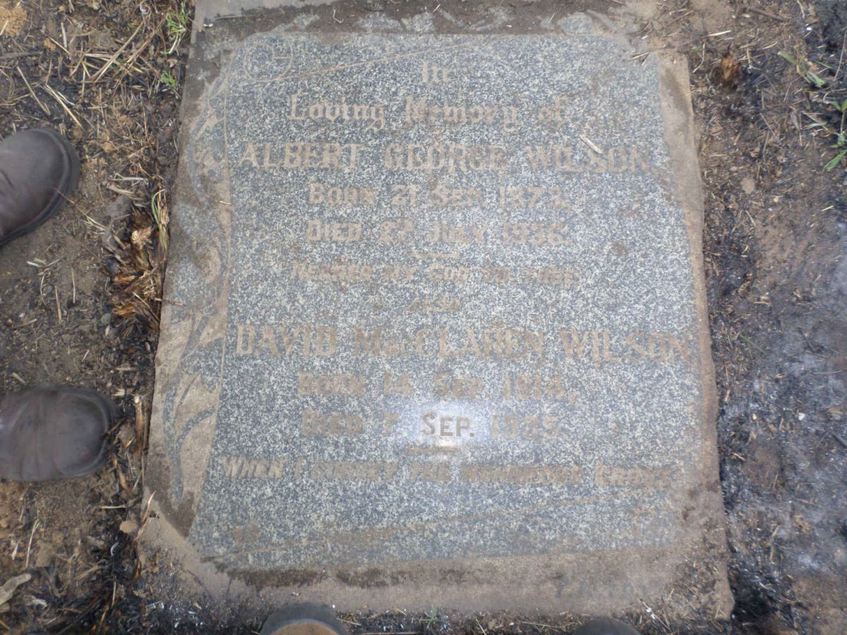 WILSON Albert George 1873-1936 :: WILSON David McClarin 1914-1935