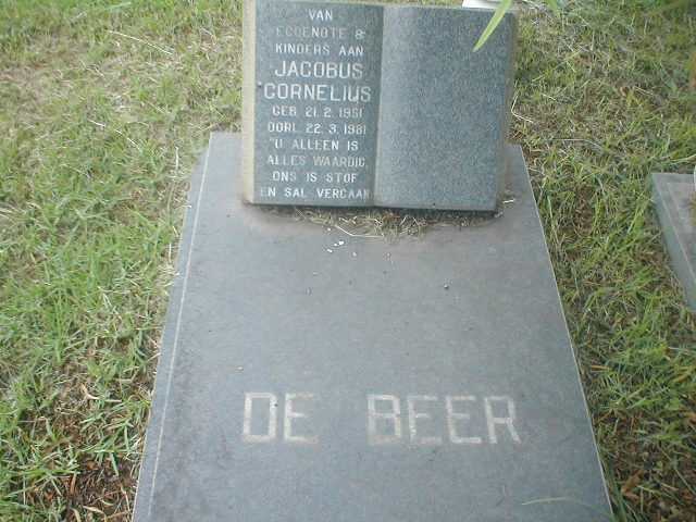 BEER Jacobus Cornelius, de  1951-1981