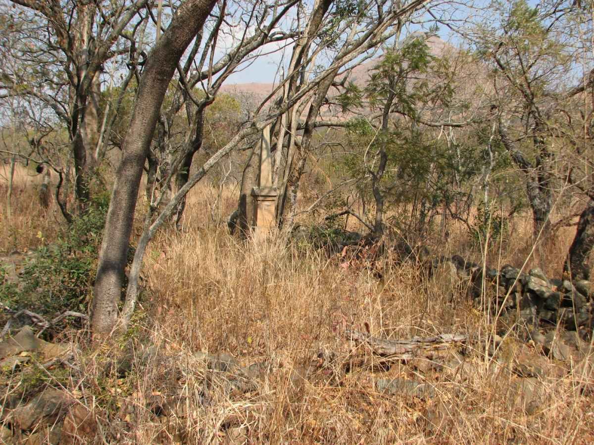 1. Overview